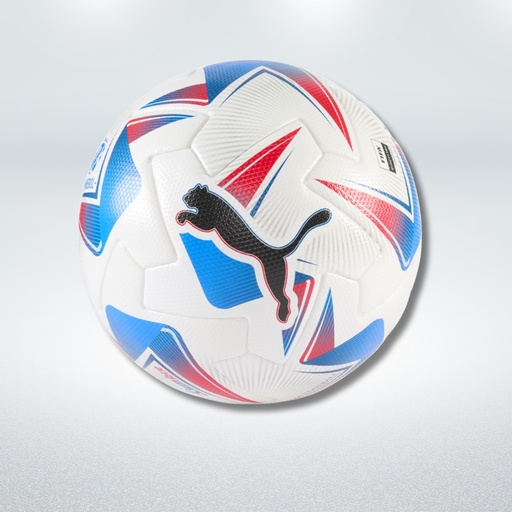 Balon Liga No. 4 Puma